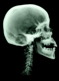 119603.jpg (21876 bytes)