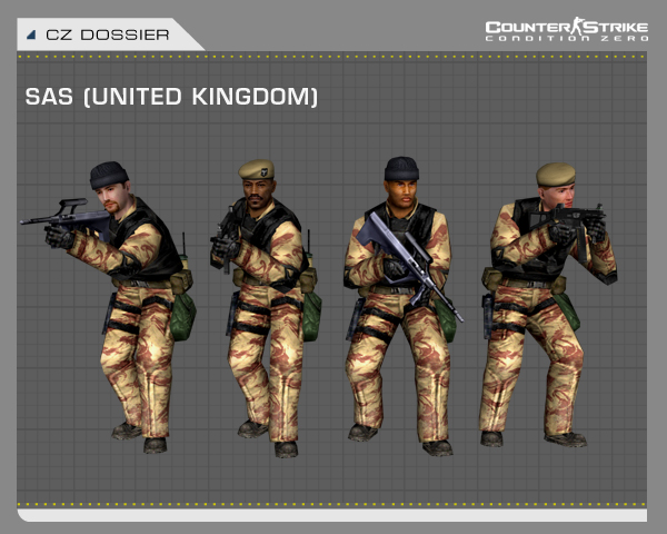 sas.jpg (181350 bytes)